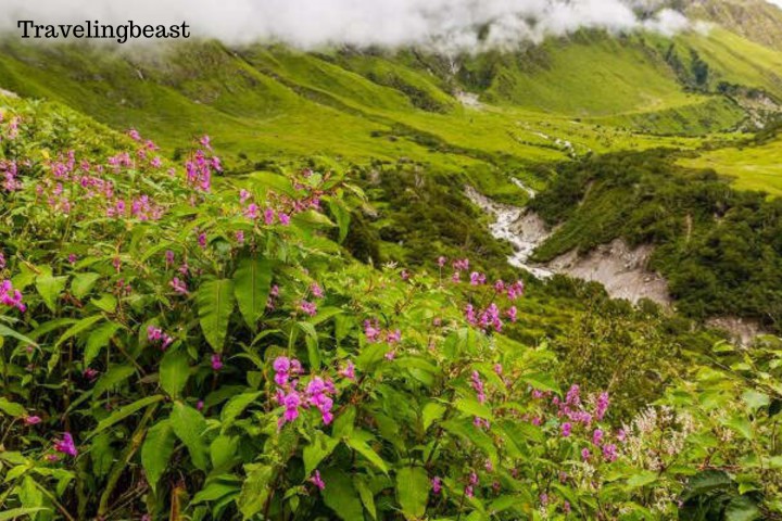 Nanda Devi National Park, Auli