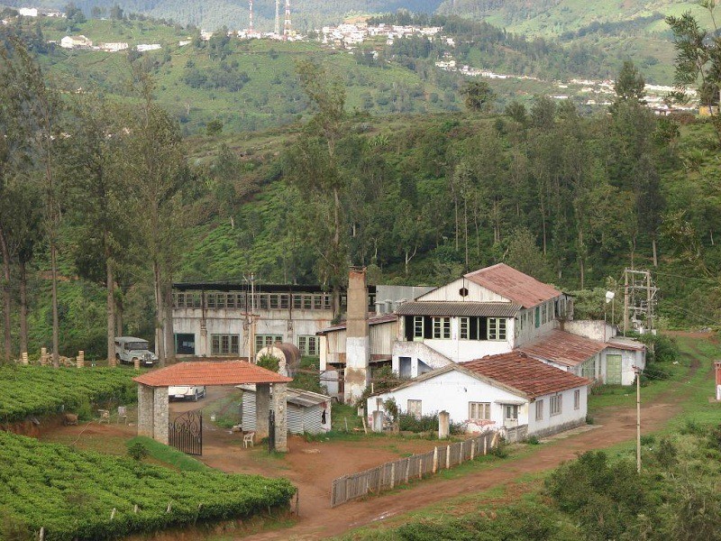place in ooty tea factory